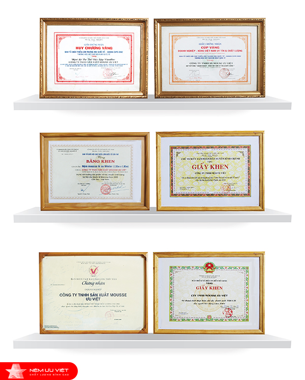 Nệm xuất khẩu và gia công b2b chứng nhận