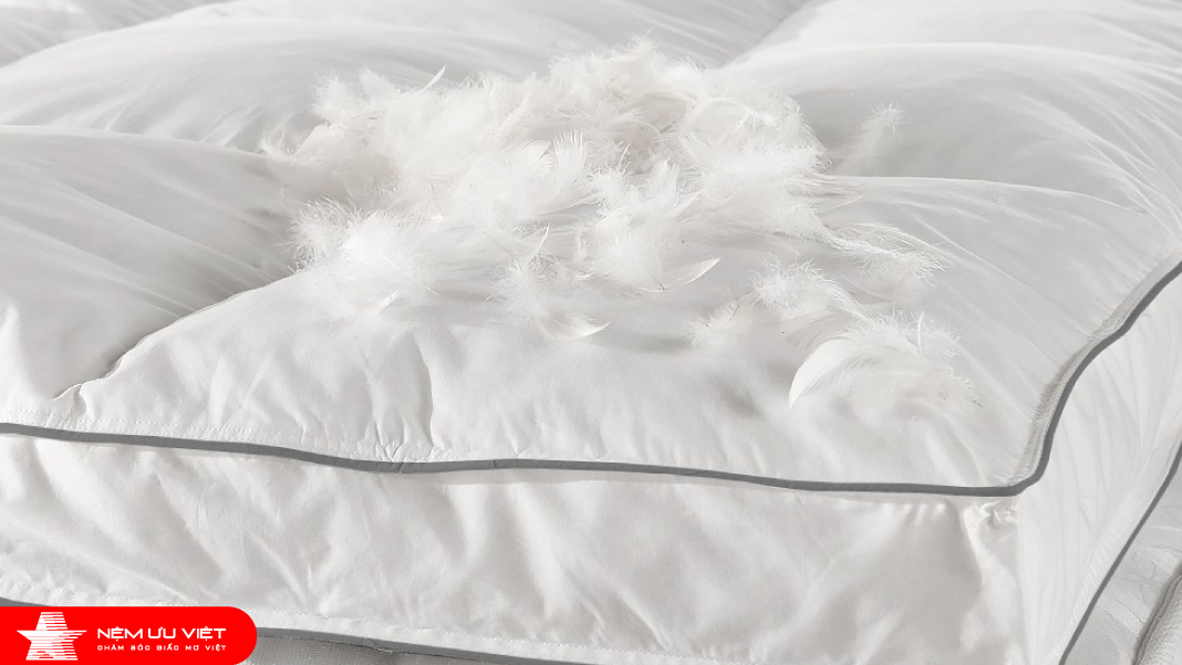 Nệm Ưu Việt - Các loại tấm topper phổ biến trên thị trường